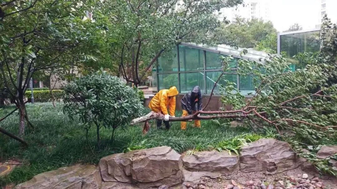 風(fēng)雨中的堅守丨智慧物業(yè)事業(yè)部迎戰臺風(fēng)“煙花”