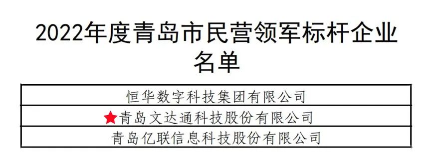 文達通民營(yíng)領(lǐng)軍標桿企業(yè).jpg