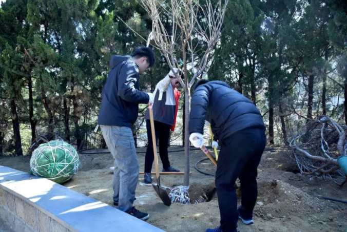 春風十里，植下一片綠 | 瑞源控股集團開展2023年植樹節系列活動